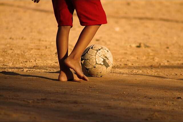 pernajogadormilandoscoelhos